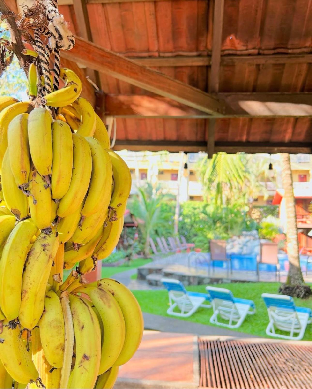 Hotel Los Ranchos Jacó Eksteriør bilde